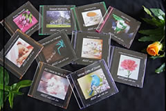 Fairy Bridge Music